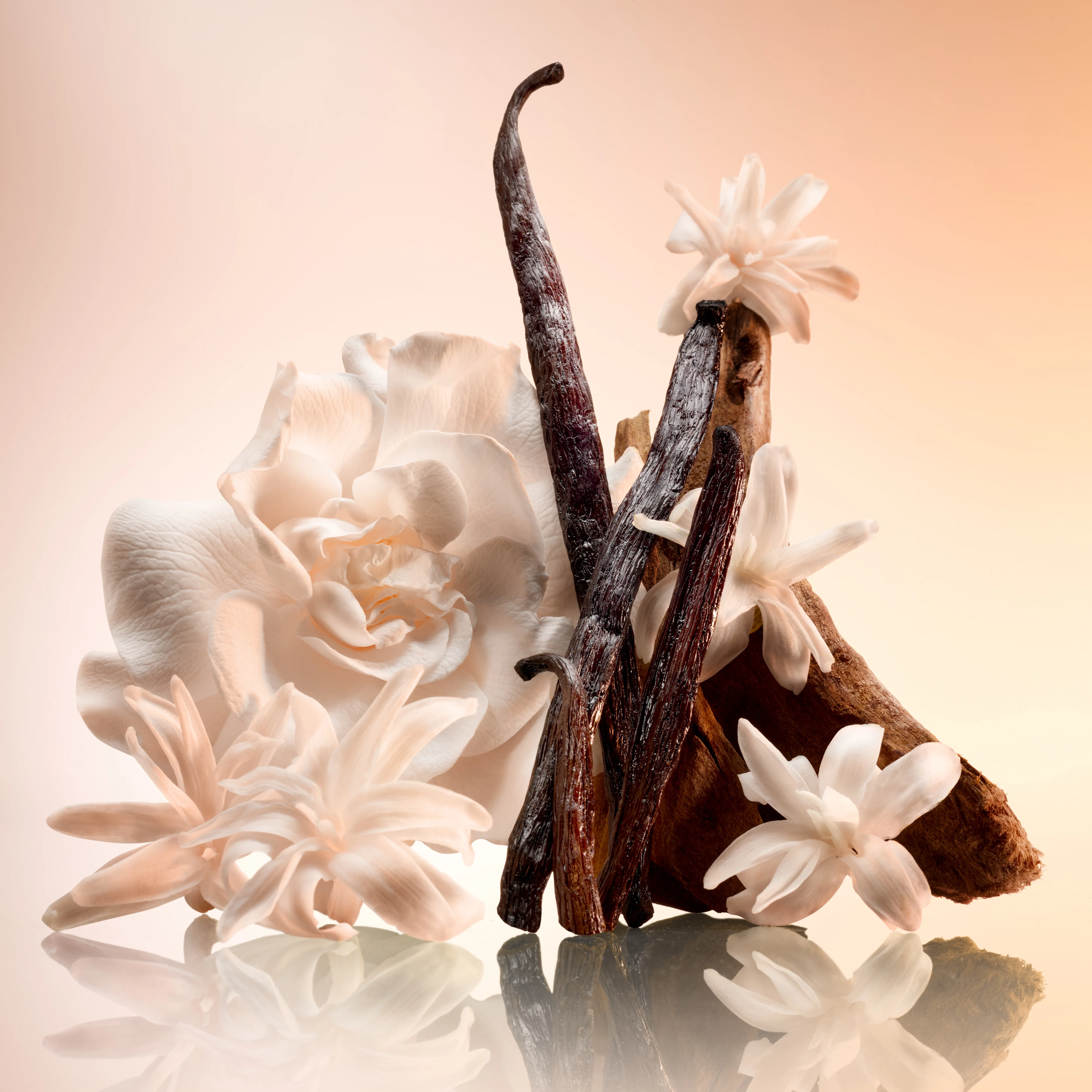 CHARLOTTE'S MAGIC JOYPHORIA BODY CREAM 								 - 200ML - Image 5