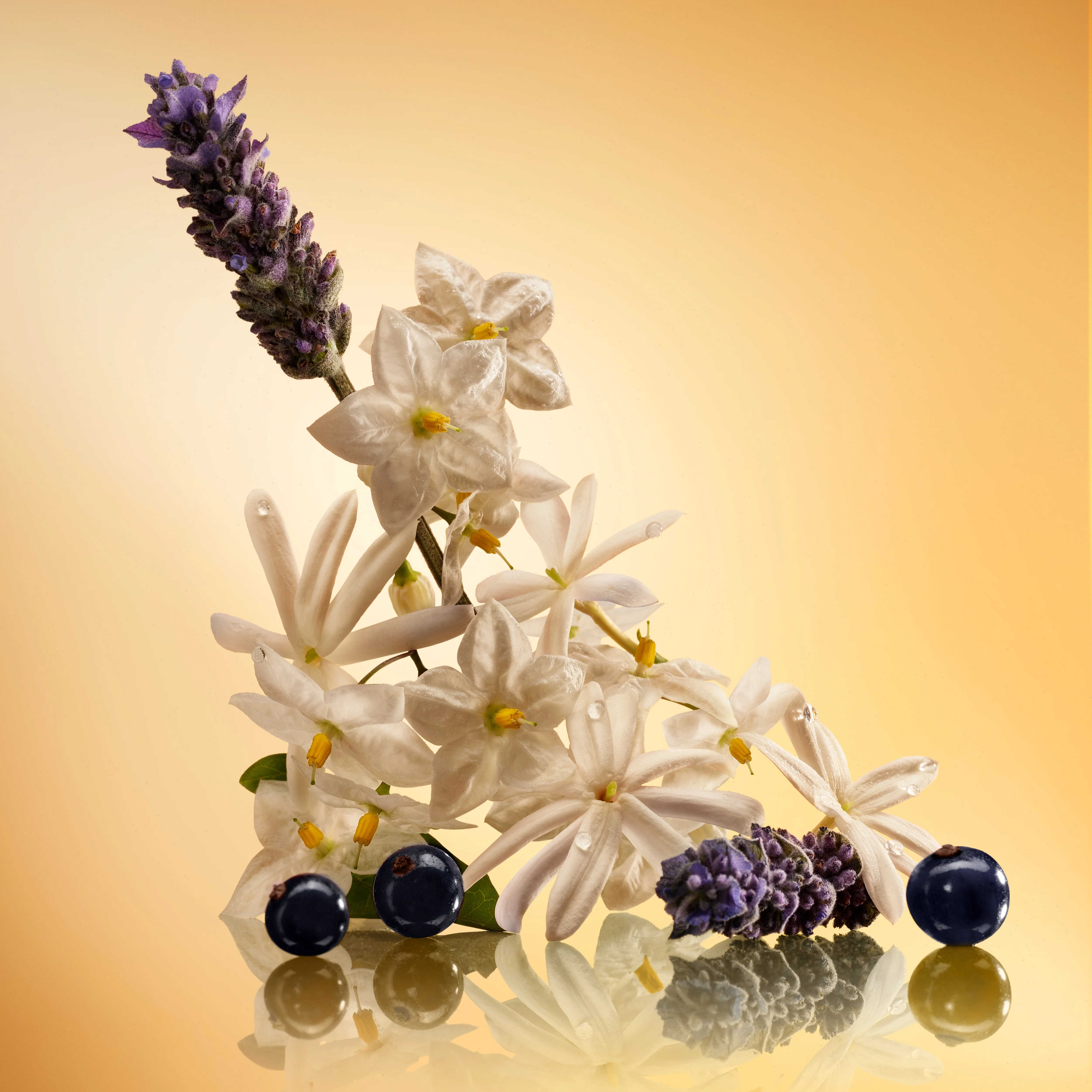 STAR CONFIDENCE - 100 ML FRAGRANCE - Image 4